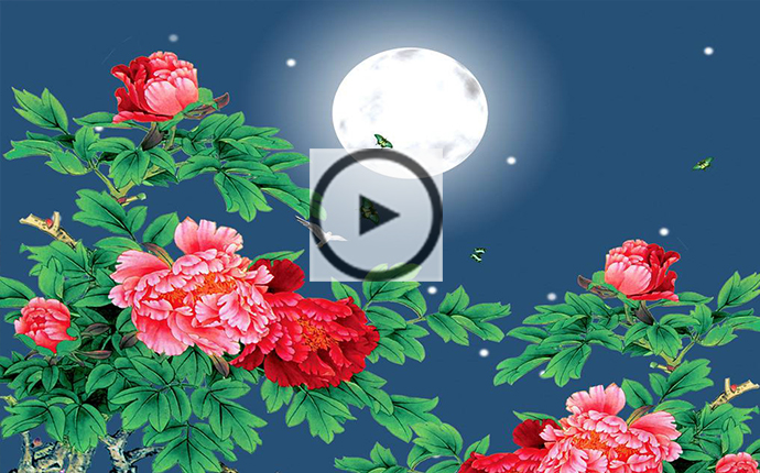 <strong>古筝曲《花好月圆夜》入门教学视频含</strong>