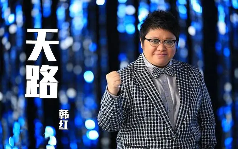 韩红歌曲《天路》古筝D调演奏版简谱及伴