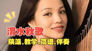 古筝曲<梅花三弄.新编版>D调简谱及伴