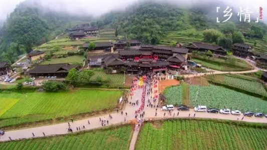 古筝《云岭音画》讲解演奏视频教程-王中山简谱