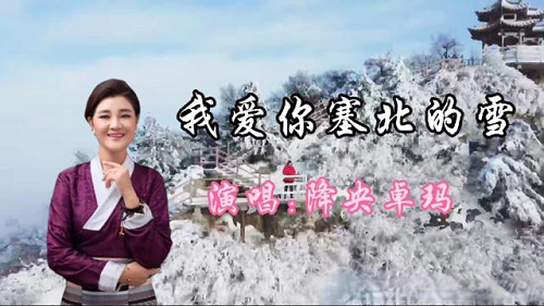 古筝曲《我爱你塞北的雪》D调简谱及伴奏