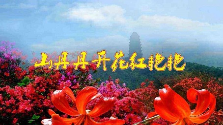《山丹丹开花红艳艳》古筝演奏版简谱及