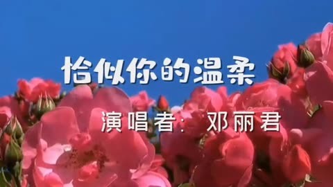 《恰似你的温柔》古筝d调演奏版简谱及伴奏