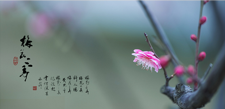 古曲《梅花三弄》古筝独奏版简谱及伴奏下载