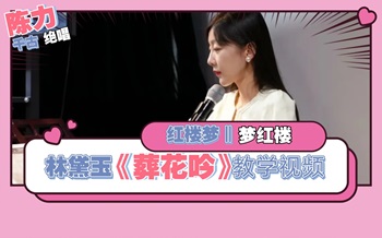 红楼梦《葬花吟》古筝教学笔记版简谱-宛一老师