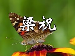 《梁祝协奏曲》_古筝100首好听名曲欣赏